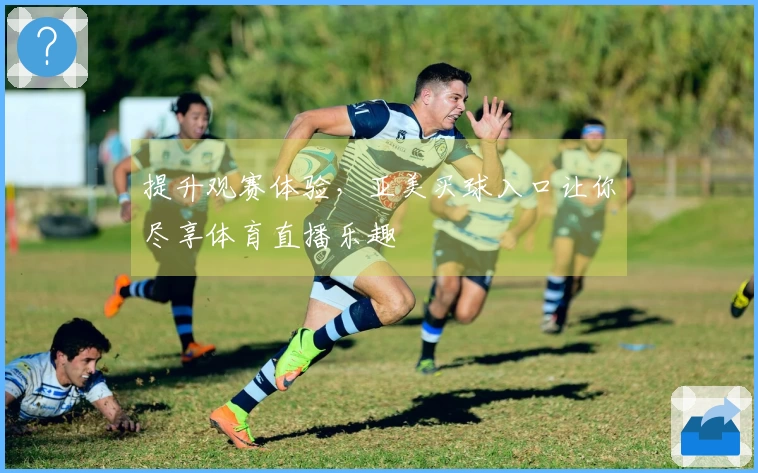 提升观赛体验，亚美买球入口让你尽享体育直播乐趣