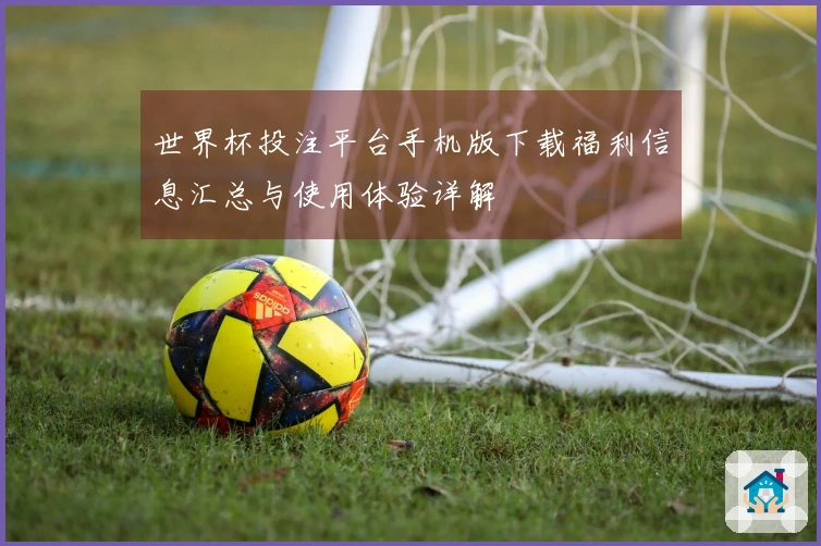 世界杯投注平台手机版下载福利信息汇总与使用体验详解