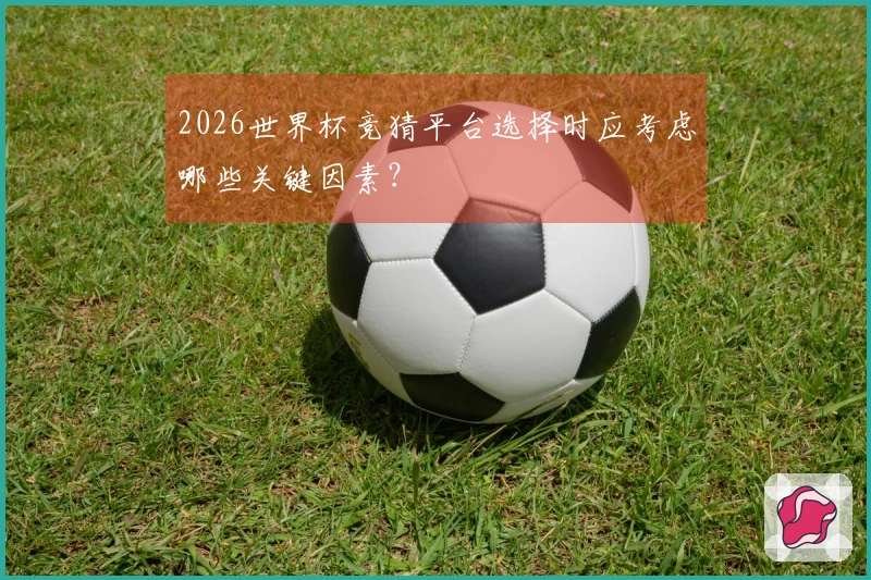 2026世界杯竞猜平台选择时应考虑哪些关键因素？