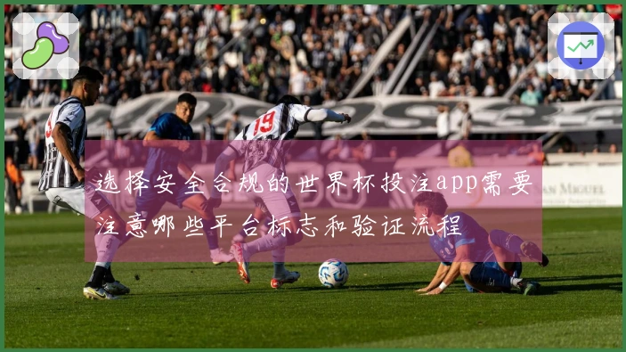 选择安全合规的世界杯投注app需要注意哪些平台标志和验证流程