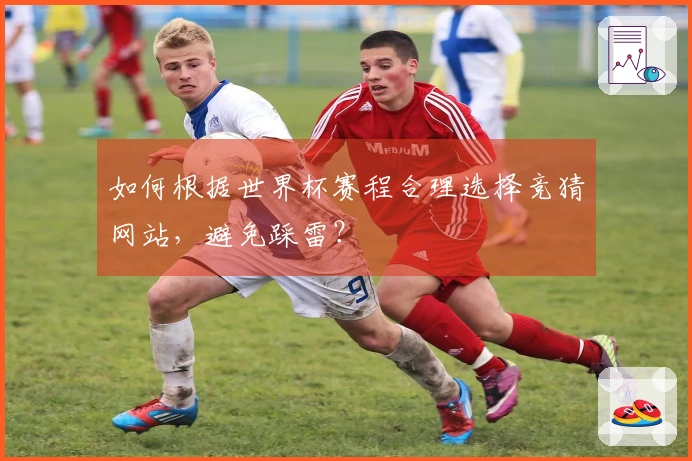 如何根据世界杯赛程合理选择竞猜网站，避免踩雷？