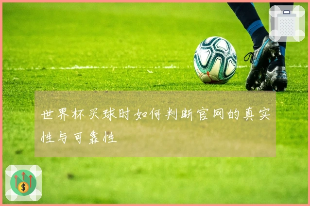 世界杯买球时如何判断官网的真实性与可靠性