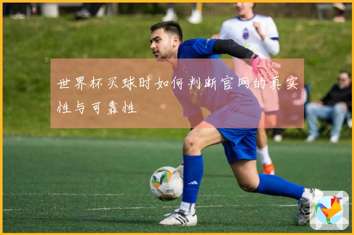 世界杯买球时如何判断官网的真实性与可靠性