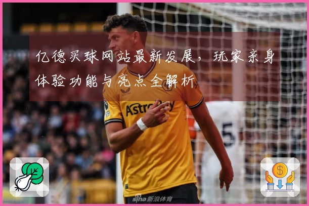亿德买球网站最新发展，玩家亲身体验功能与亮点全解析