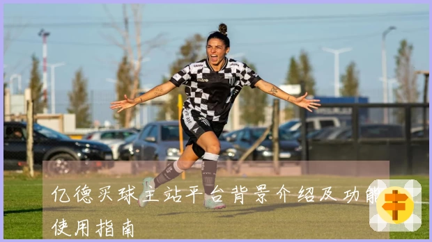 亿德买球主站平台背景介绍及功能使用指南