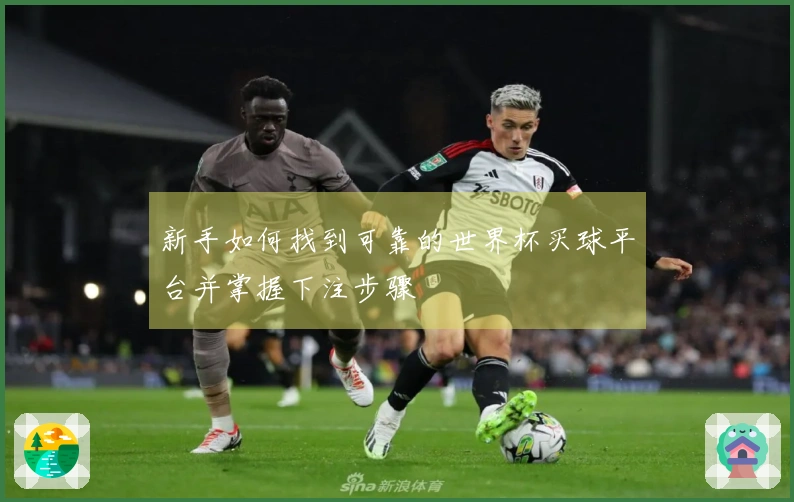 新手如何找到可靠的世界杯买球平台并掌握下注步骤