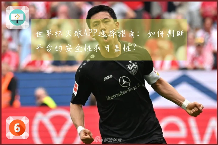 世界杯买球APP选择指南：如何判断平台的安全性和可靠性？