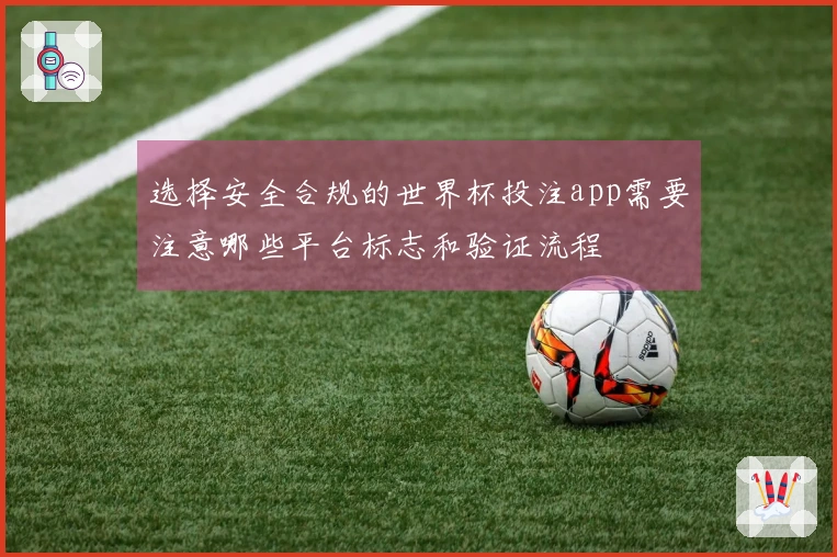 选择安全合规的世界杯投注app需要注意哪些平台标志和验证流程